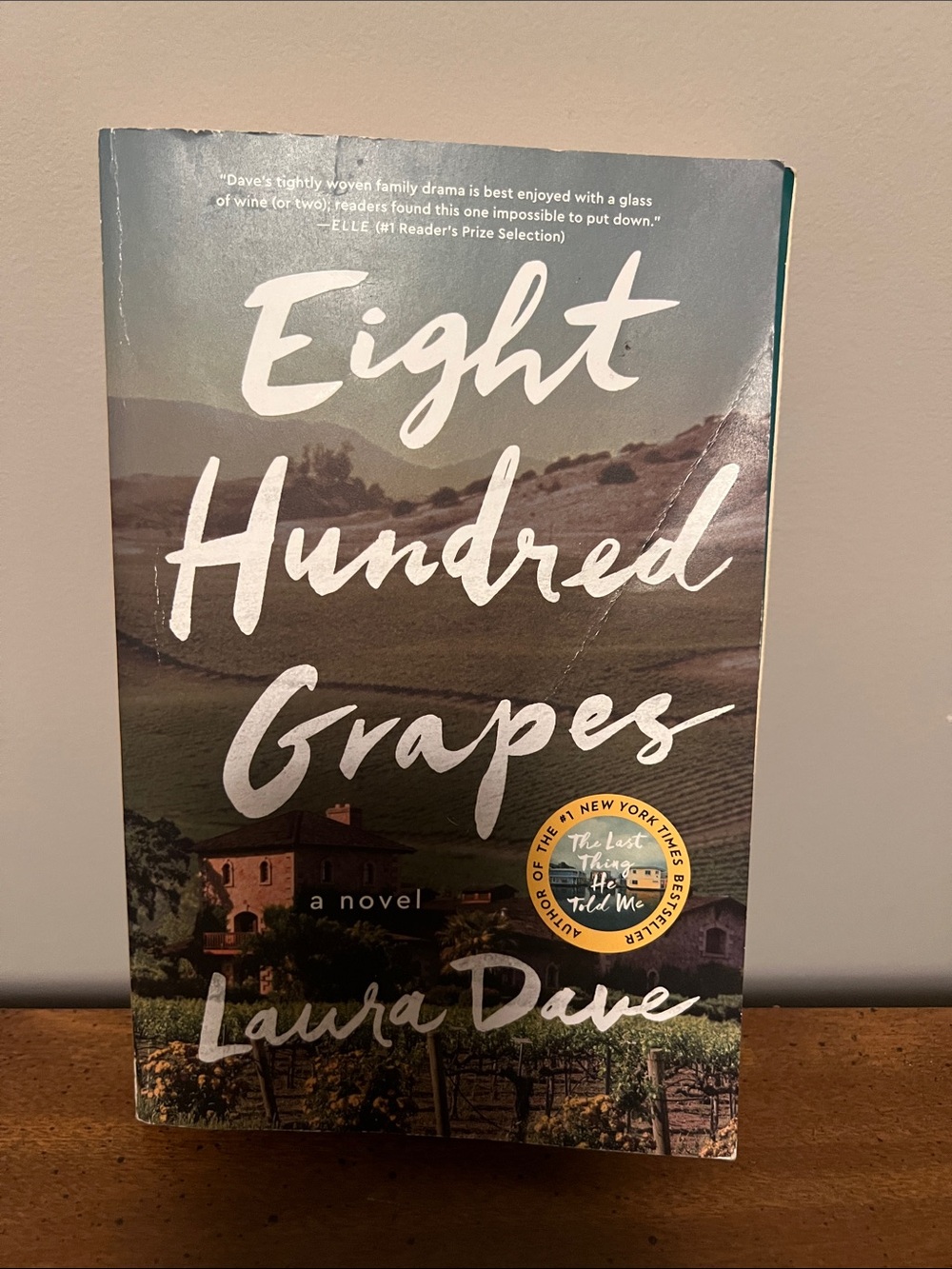 Eight Hundred Grapes by Laura Dave - Softcover Book
